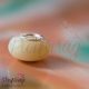 Lencse emlékgyöngy anyatejes alappal